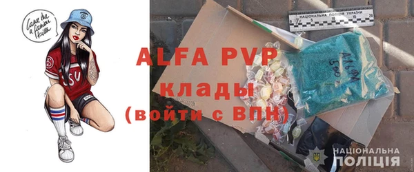 ПСИЛОЦИБИНОВЫЕ ГРИБЫ Белокуриха