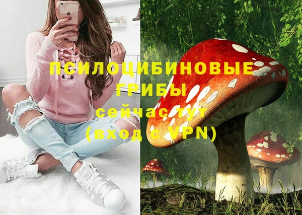ПСИЛОЦИБИНОВЫЕ ГРИБЫ Белокуриха