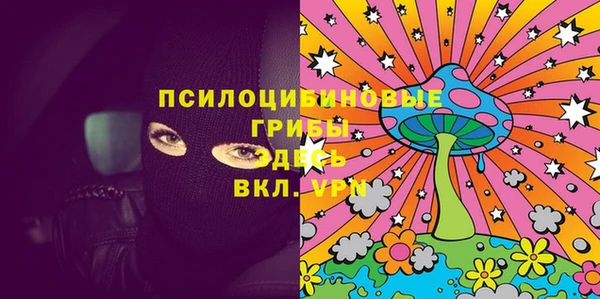 спиды Инсар
