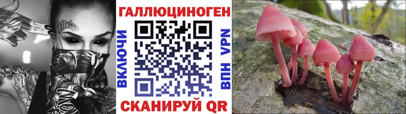 Псилоцибиновые грибы MAGIC MUSHROOMS  купить  сайты  Всеволожск 